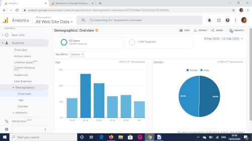 Google Analytics demographics screen grab