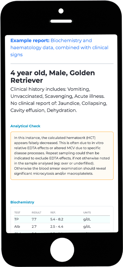 Pathologica as seen on a small screen